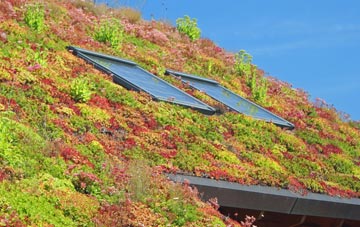 Corstorphine living roof systems