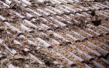 Corstorphine roof cleaning companies